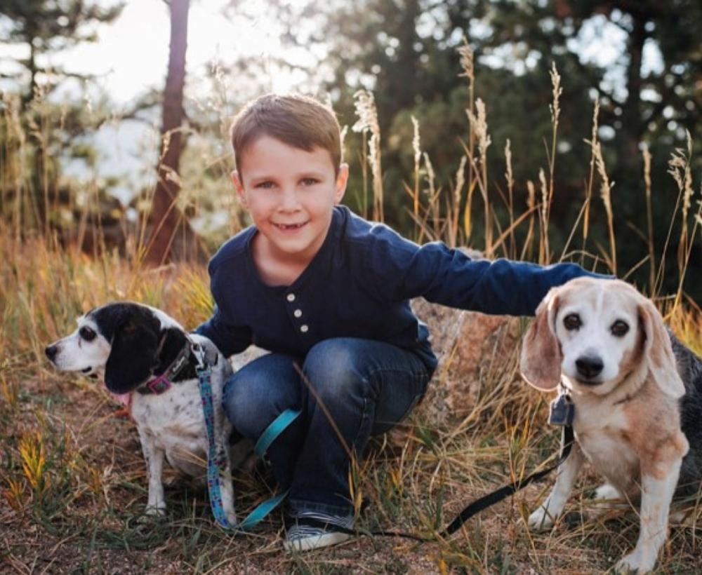 young boy and beagles