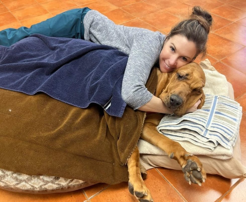 Vet Near Me Lakewood, CO 80228 Foothills Animal Hospital