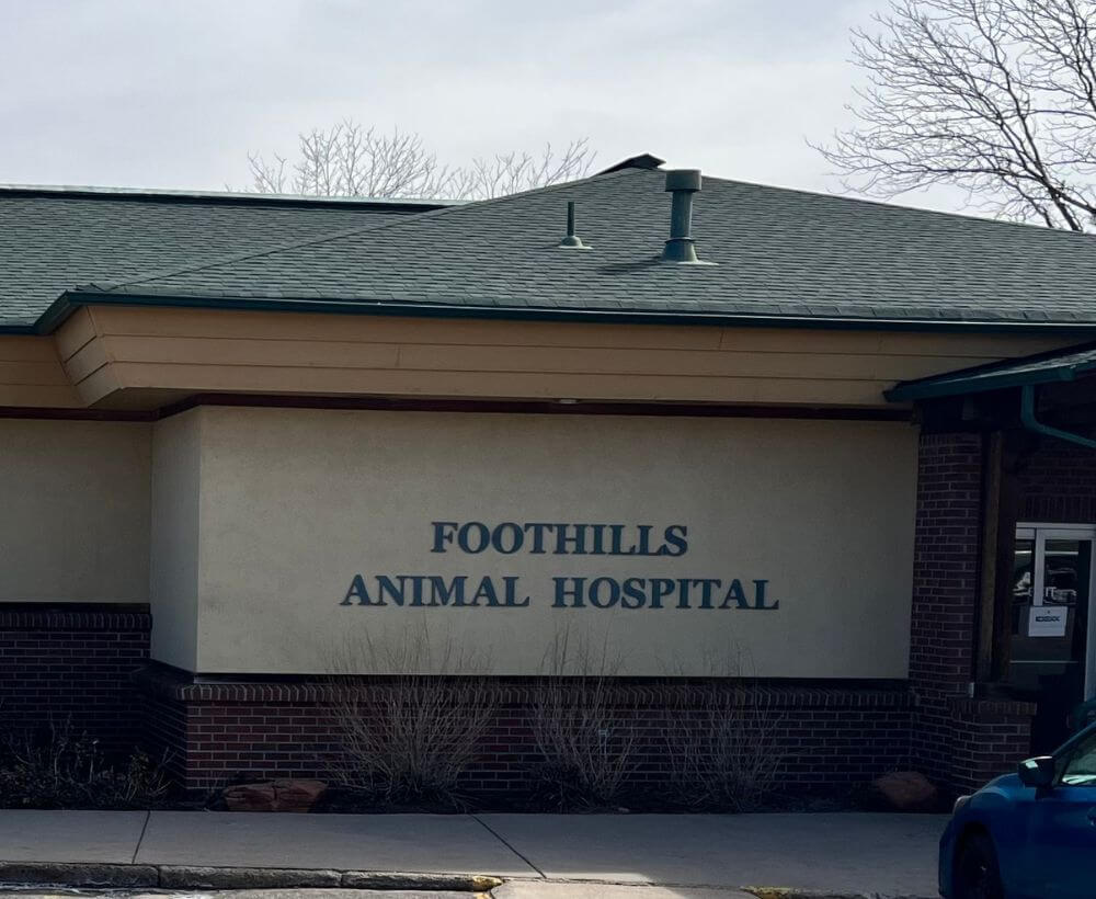 foothills animal hospital building