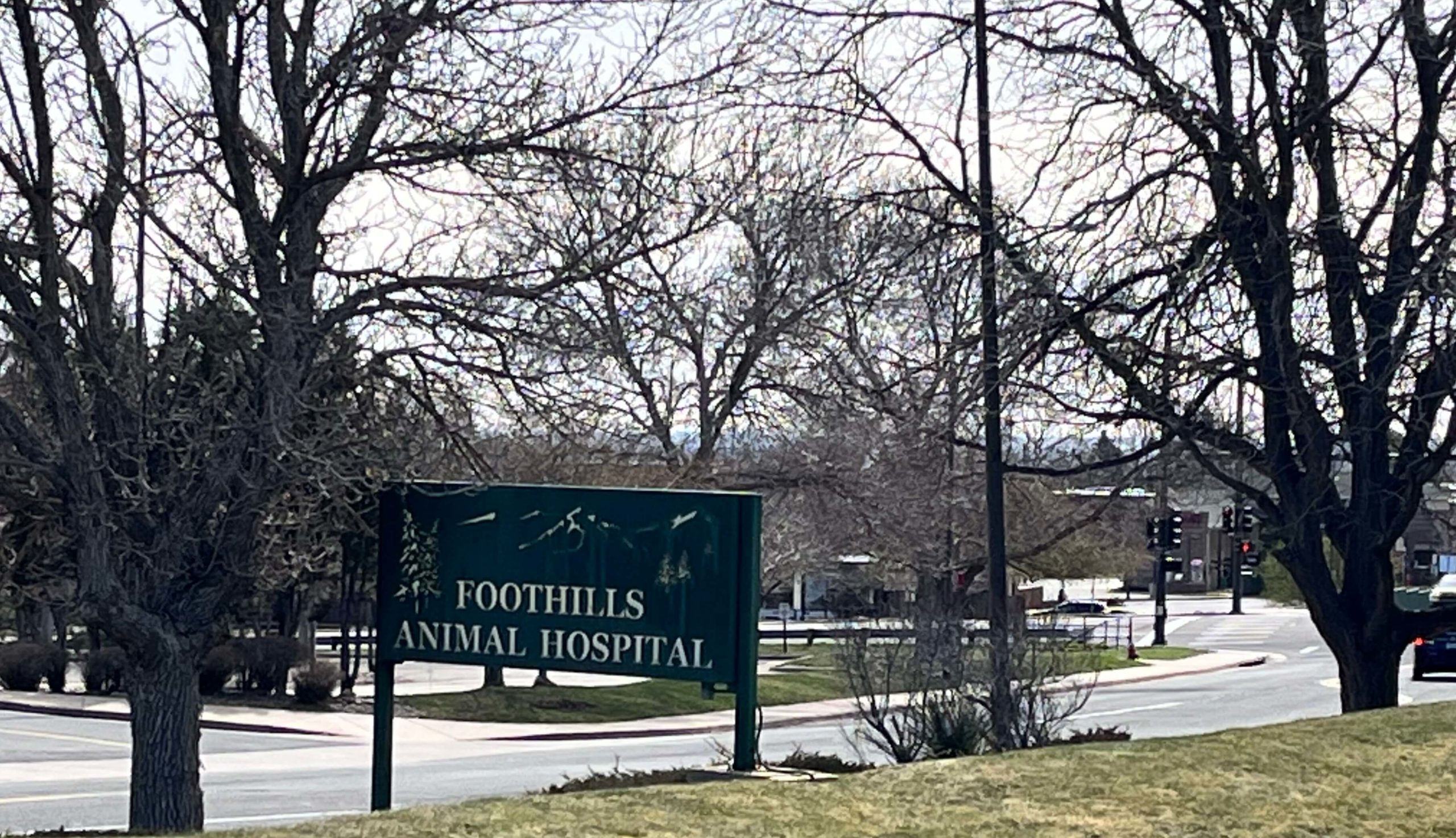 foothills animal hospital signage